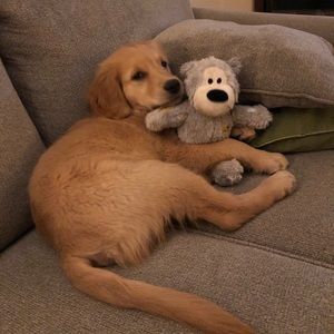 Meet your Posher, Robert